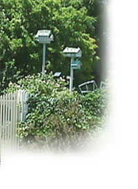 Garden on Center Street